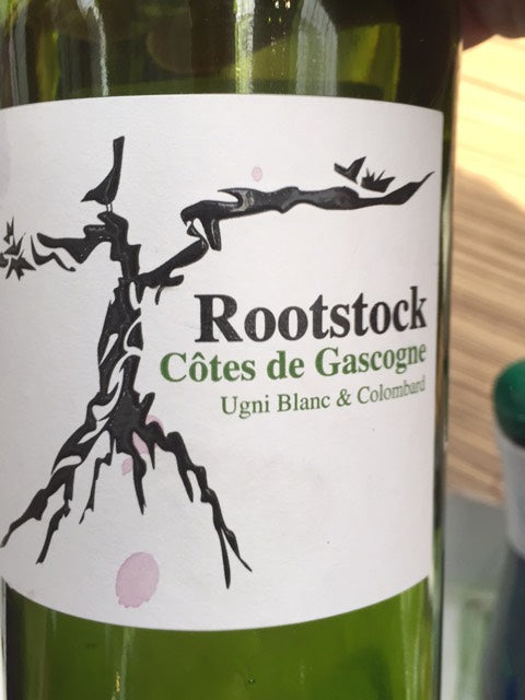 Rootstock Cotes De Gascogne 12X75Cl