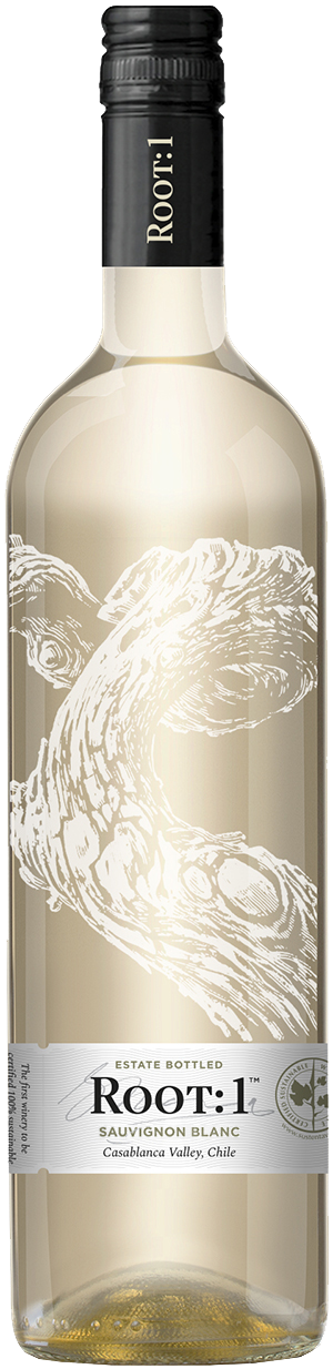 Root 1 Sauv Blnc Casablan12X75CL