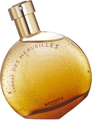 Hermès Eau des Merveilles L'Ambre des Merveilles Eau de Parfum 100 ml