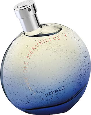 Hermès Ombre des Merveilles Eau de Parfum 100 ml