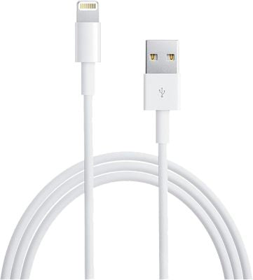 Apple Lightning to USB Cable 1m