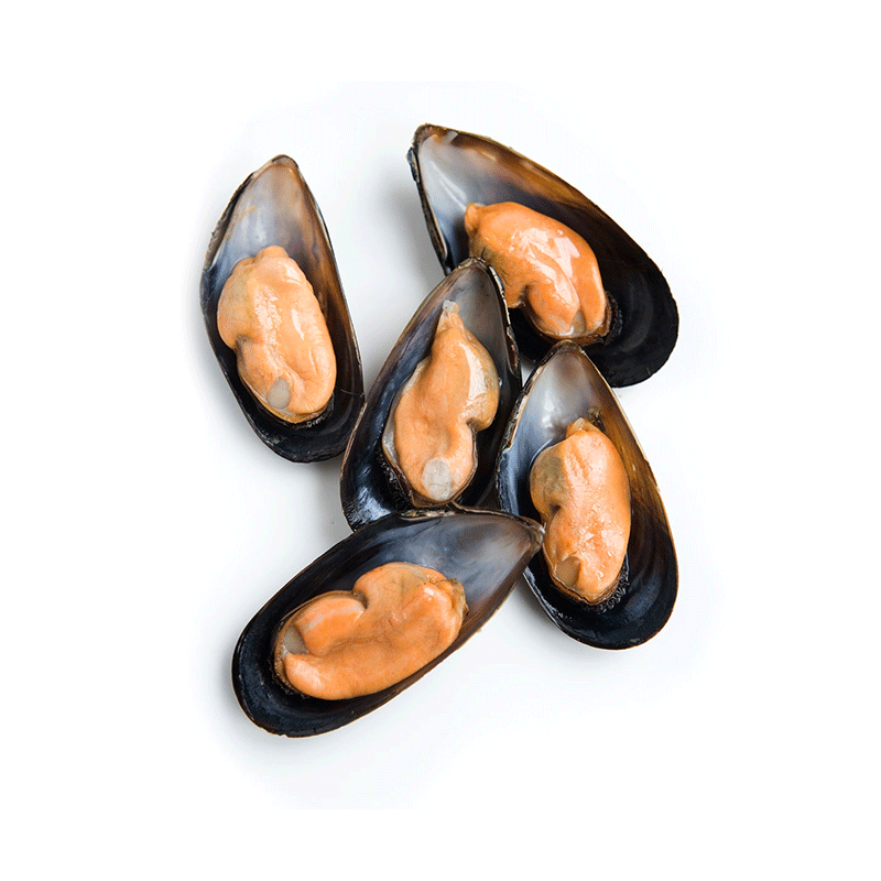 Frozen Half Shell Mussel 1kg