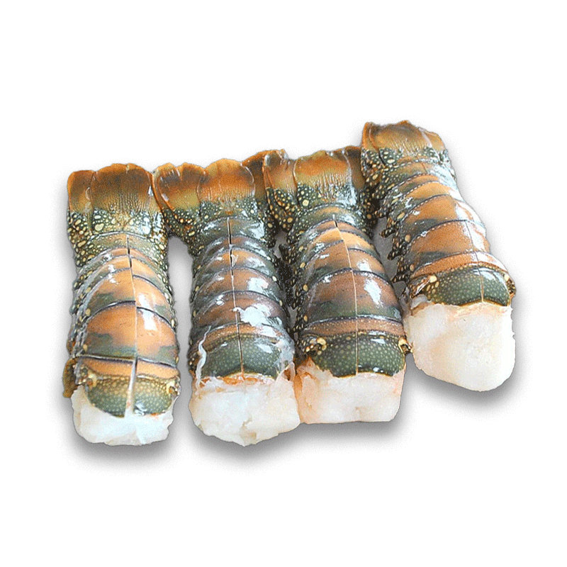 Frozen Lobster Tail Medium 500g (3-4 Pieces)