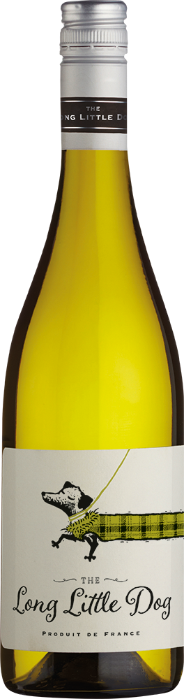 The Long Little Dog White