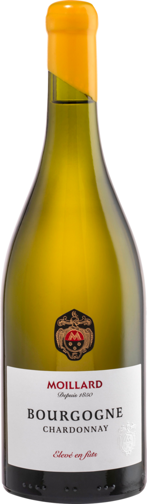 Moillard Chardonnay Premium 6X75Cl